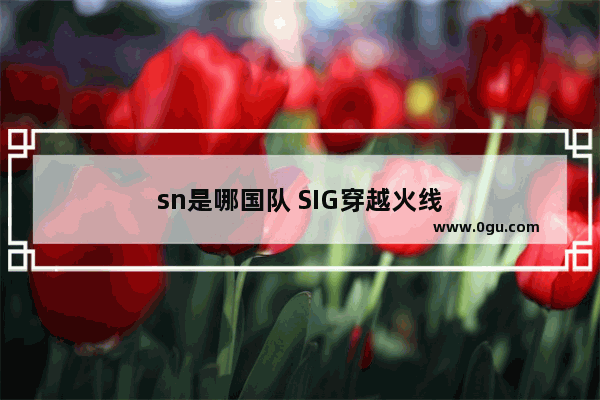 sn是哪国队 SIG穿越火线