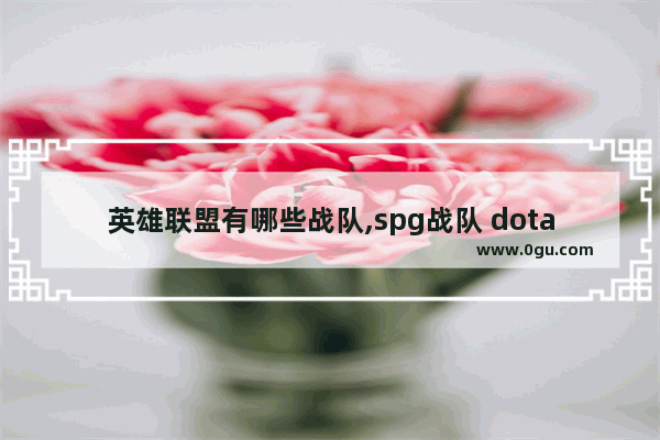 英雄联盟有哪些战队,spg战队 dota2