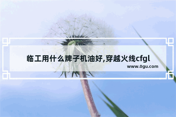 临工用什么牌子机油好,穿越火线cfgl