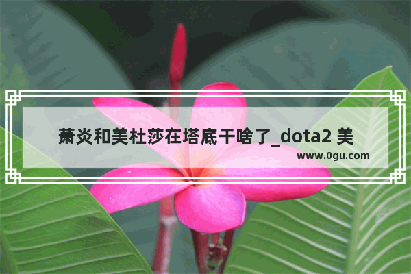 萧炎和美杜莎在塔底干啥了_dota2 美杜莎 天赋