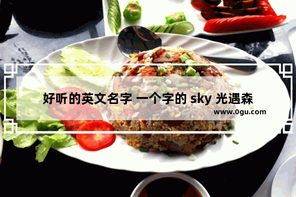 好听的英文名字 一个字的 sky 光遇森