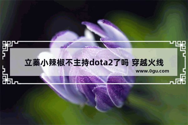 立蓁小辣椒不主持dota2了吗 穿越火线立蓁