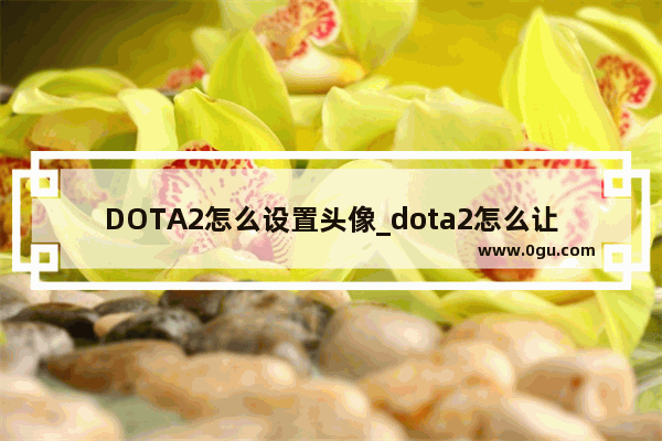 DOTA2怎么设置头像_dota2怎么让英雄头像动