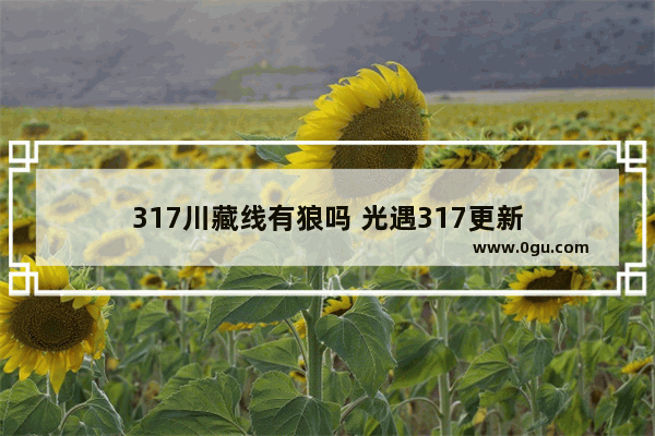 317川藏线有狼吗 光遇317更新