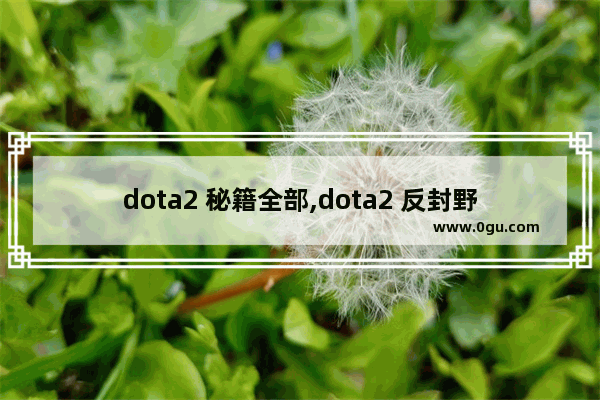 dota2 秘籍全部,dota2 反封野