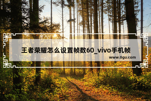 王者荣耀怎么设置帧数60_vivo手机帧数怎么调60帧