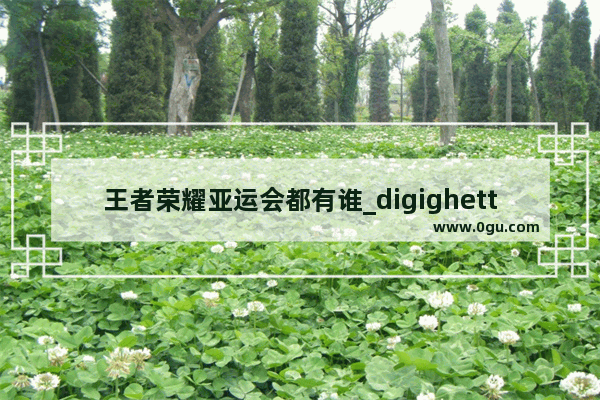 王者荣耀亚运会都有谁_digighetto队长是谁