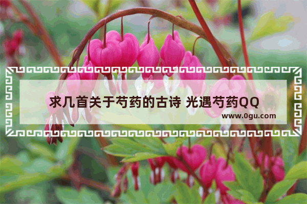 求几首关于芍药的古诗 光遇芍药QQ