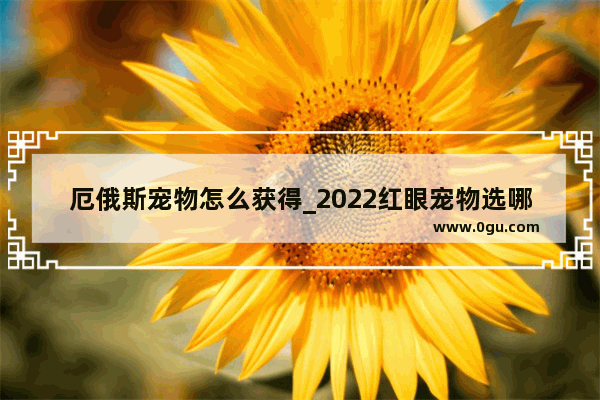 厄俄斯宠物怎么获得_2022红眼宠物选哪个最好