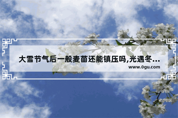 大雪节气后一般麦苗还能镇压吗,光遇冬眠单指