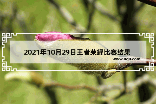 2021年10月29日王者荣耀比赛结果 王者荣耀战况