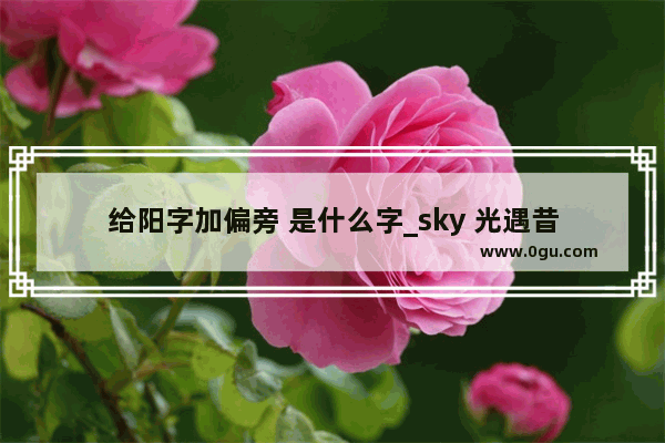 给阳字加偏旁 是什么字_sky 光遇昔