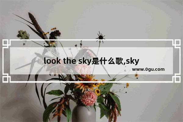 look the sky是什么歌,sky光遇深情