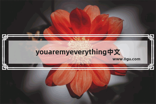 youaremyeverything中文是啥意思_穿越火线英文情话