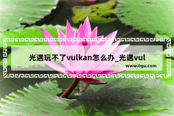 光遇玩不了vulkan怎么办_光遇vulkan怎样修改