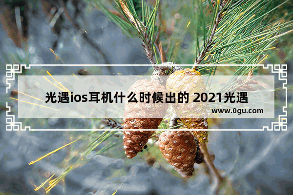 光遇ios耳机什么时候出的 2021光遇耳机