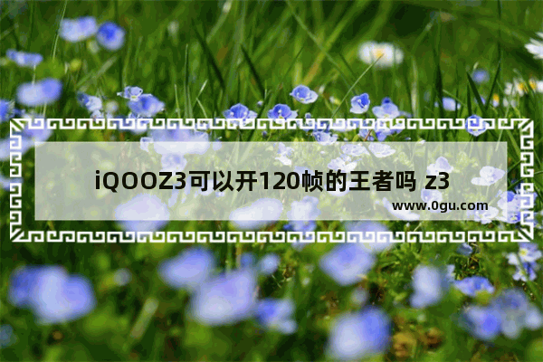 iQOOZ3可以开120帧的王者吗 z3王者荣耀