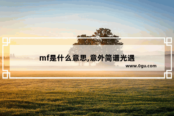 mf是什么意思,意外简谱光遇