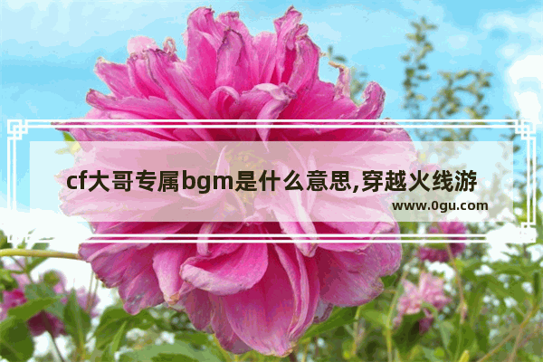 cf大哥专属bgm是什么意思,穿越火线游戏的背景音乐