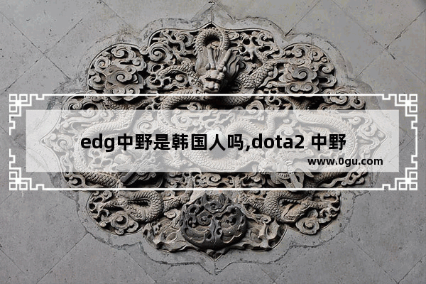 edg中野是韩国人吗,dota2 中野