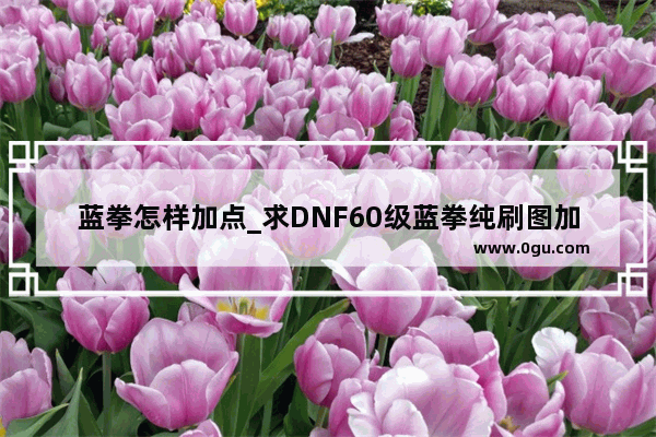 蓝拳怎样加点_求DNF60级蓝拳纯刷图加点