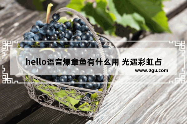 hello语音爆章鱼有什么用 光遇彩虹占卜