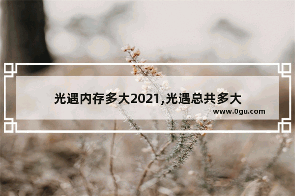 光遇内存多大2021,光遇总共多大