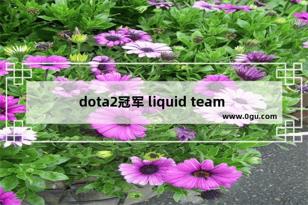 dota2冠军 liquid team dota2