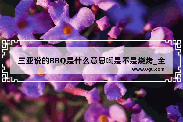 三亚说的BBQ是什么意思啊是不是烧烤_全世界开发游戏最多的几个国家