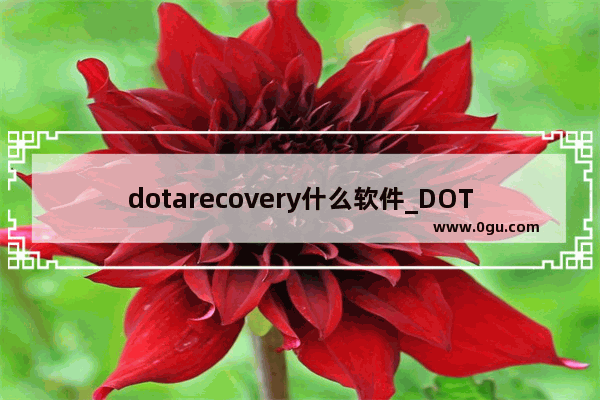 dotarecovery什么软件_DOTA2已断开与服务器连接服务无法与器建立连接怎么回事