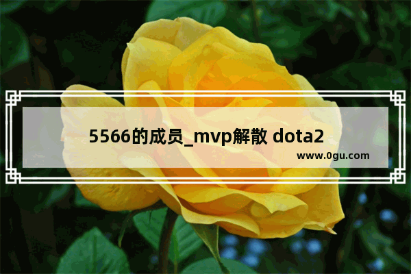 5566的成员_mvp解散 dota2