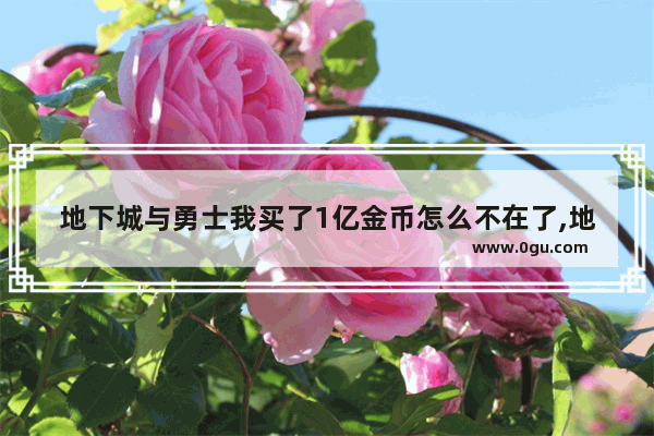 地下城与勇士我买了1亿金币怎么不在了,地下城与勇士买金币没到账