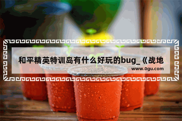 和平精英特训岛有什么好玩的bug_《战地硬仗》第八关至尊之地训练营被关进屋子后怎么出去