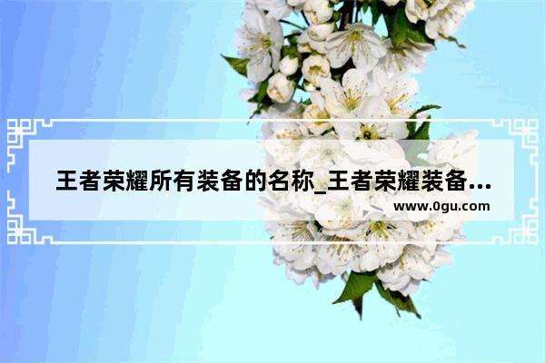 王者荣耀所有装备的名称_王者荣耀装备不显示是多少金币