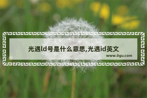 光遇ld号是什么意思,光遇id英文