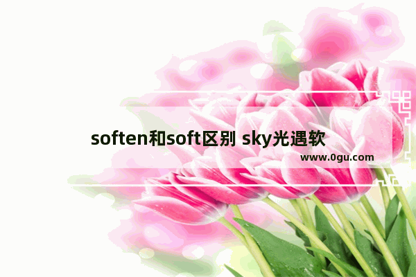 soften和soft区别 sky光遇软软