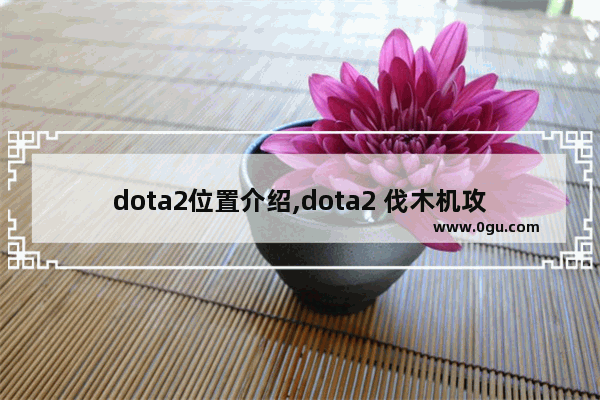 dota2位置介绍,dota2 伐木机攻略