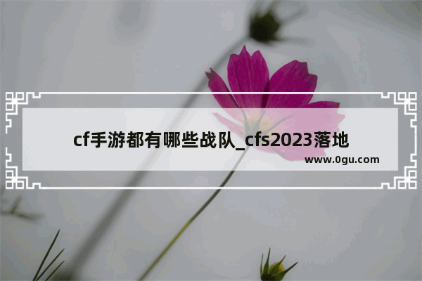 cf手游都有哪些战队_cfs2023落地哪个城市