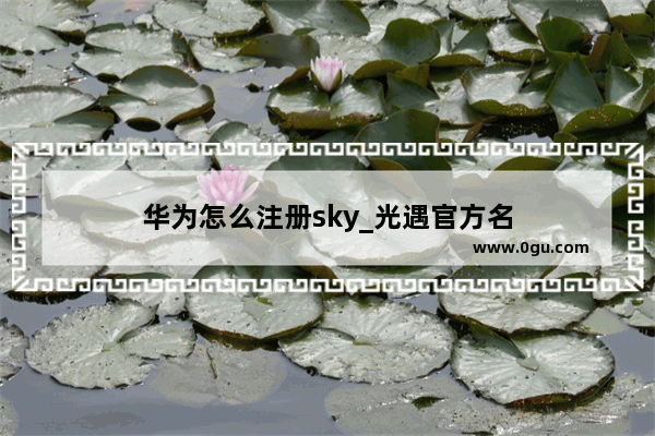 华为怎么注册sky_光遇官方名