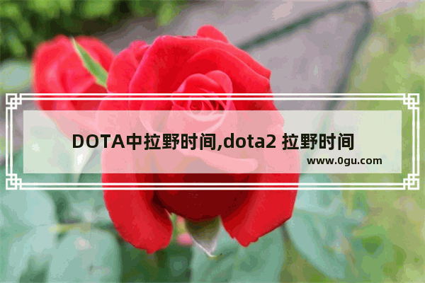 DOTA中拉野时间,dota2 拉野时间