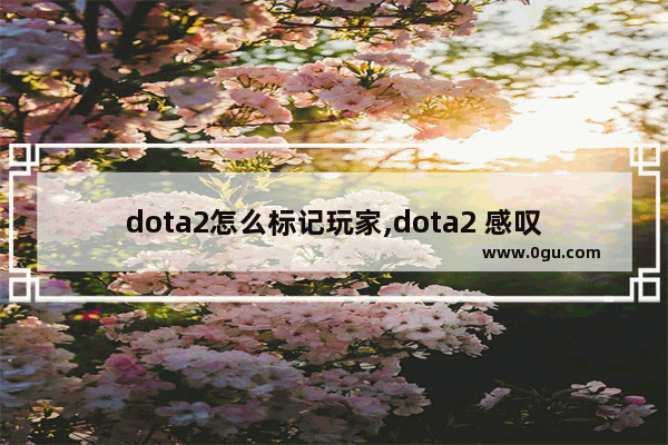 dota2怎么标记玩家,dota2 感叹号