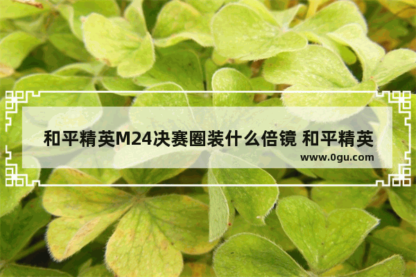 和平精英M24决赛圈装什么倍镜 和平精英星之信m24