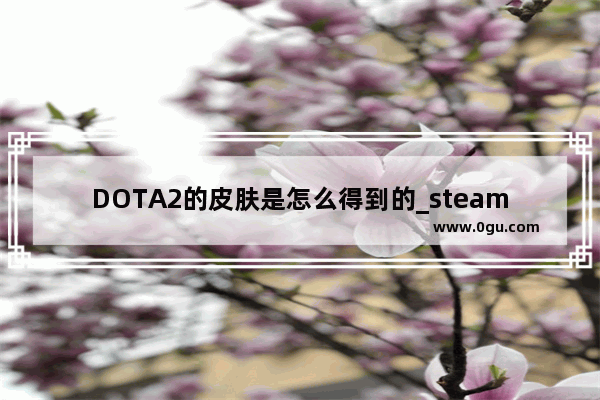 DOTA2的皮肤是怎么得到的_steam登陆dota2和国服登陆有什么不同