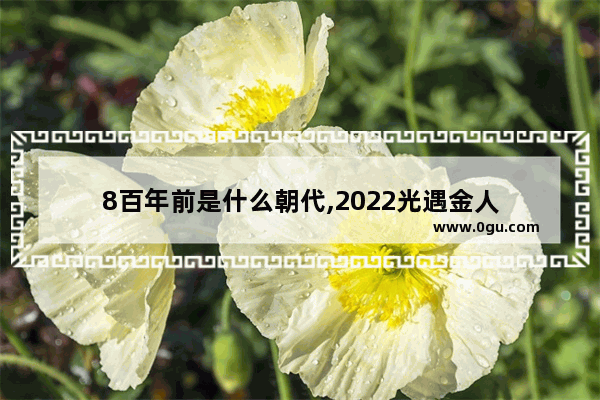 8百年前是什么朝代,2022光遇金人