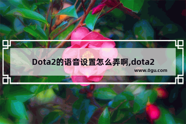 Dota2的语音设置怎么弄啊,dota2麦怎么设置