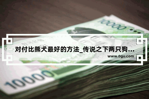 对付比熊犬最好的方法_传说之下两只狗怎么饶恕