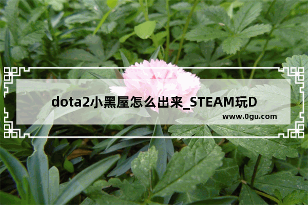 dota2小黑屋怎么出来_STEAM玩DOTA2有时候因为网络问题掉线然后进小黑屋 怎么破啊