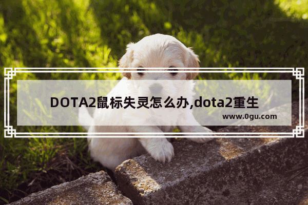 DOTA2鼠标失灵怎么办,dota2重生离线