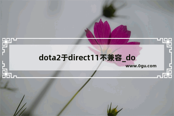 dota2于direct11不兼容_dota2dx11无法选择1920*1080