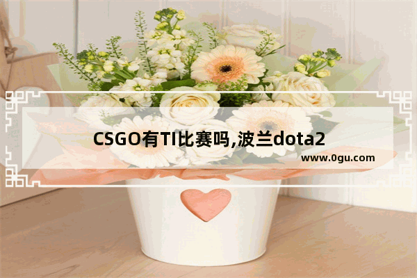 CSGO有TI比赛吗,波兰dota2